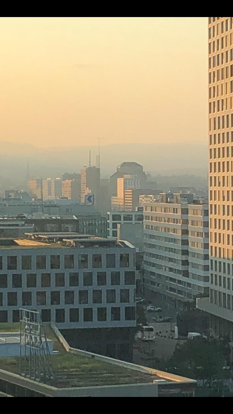 Morning Notes from Zurich — 04: Ordinary Mornings