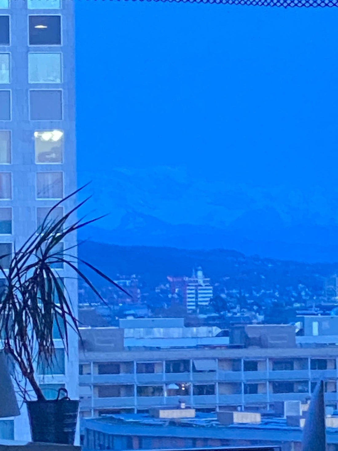 Blue Hour Notes from Zurich — 01: Where the Day Begins